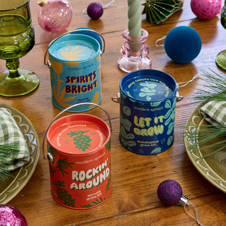 Seasonal Complimentary Colors Grow Kits
