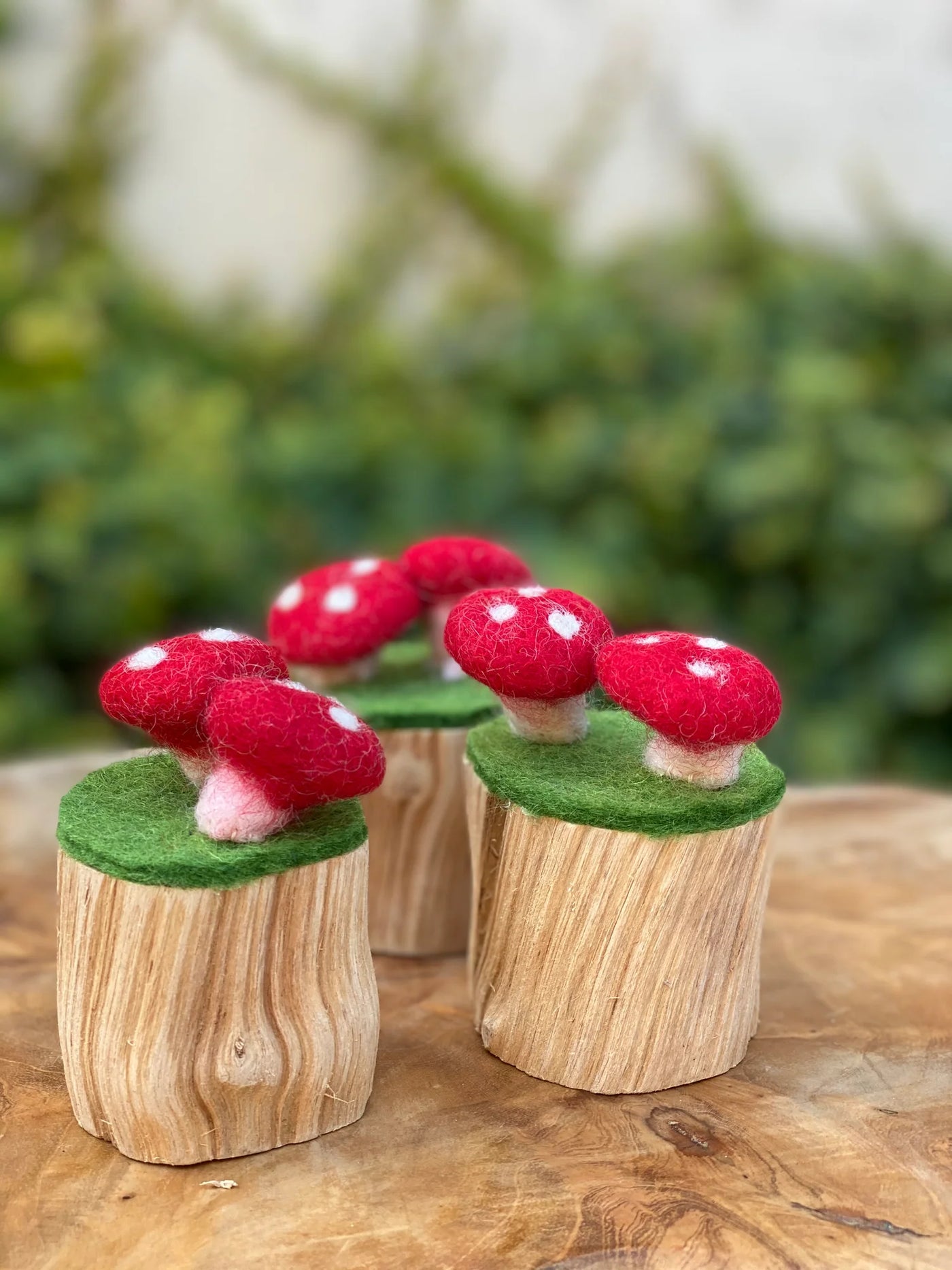 Papoose Small World Toadstool Trunk