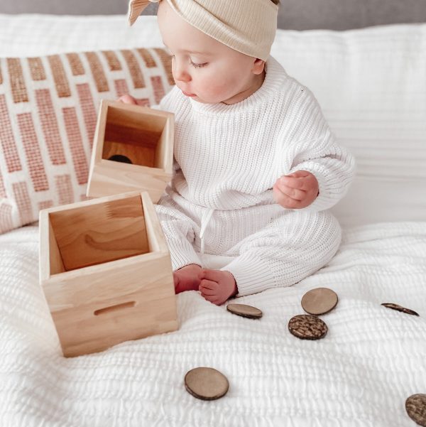 Q Toys Montessori Disc Post Box