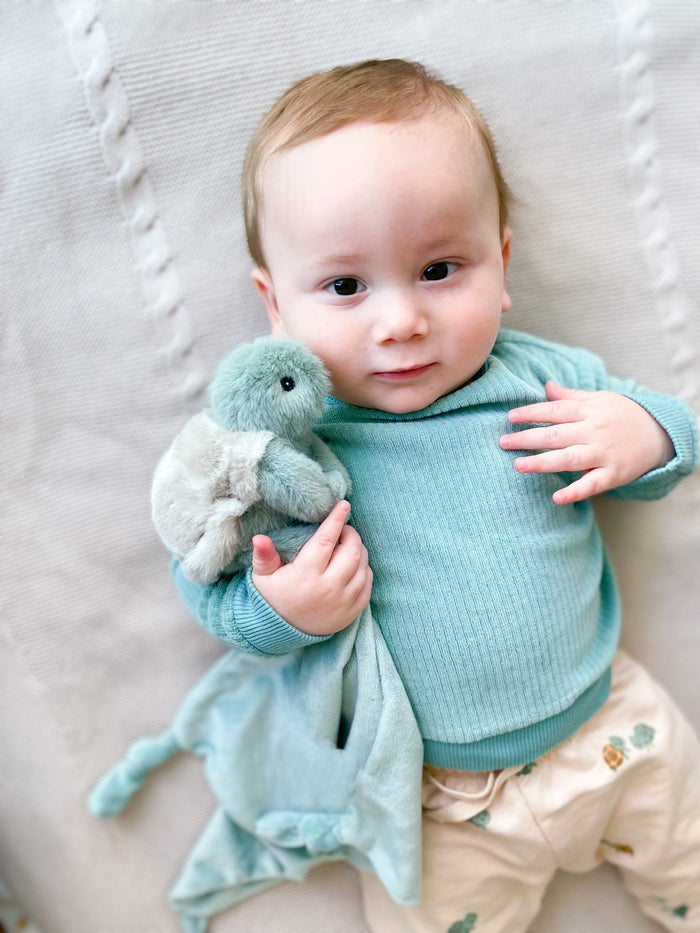 Mon Ami Taylor the Turtle plush security blankie