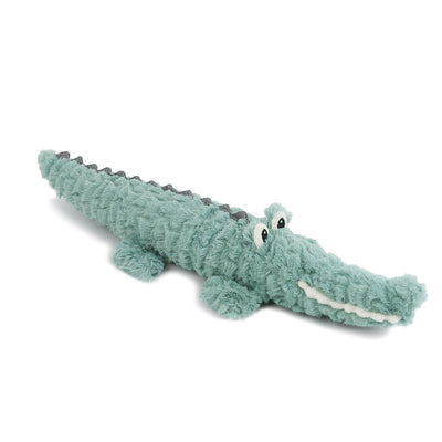 Alligator