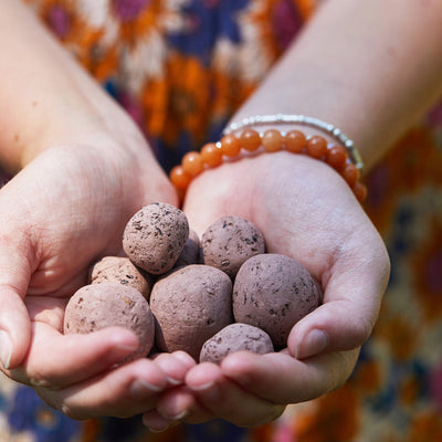 Modern Sprout Bright Side Seed Balls