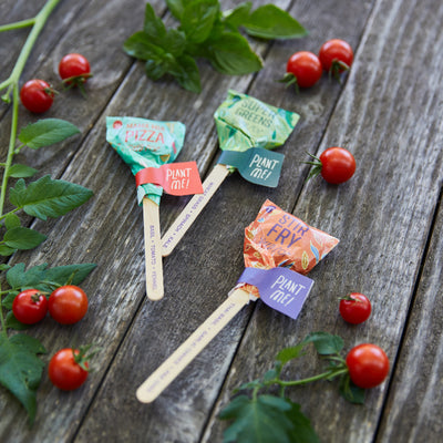 Modern Sprout Seed Lollipop, Culinary