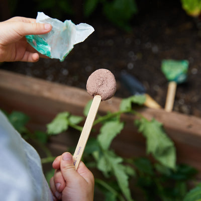 Modern Sprout Seed Lollipop, Culinary