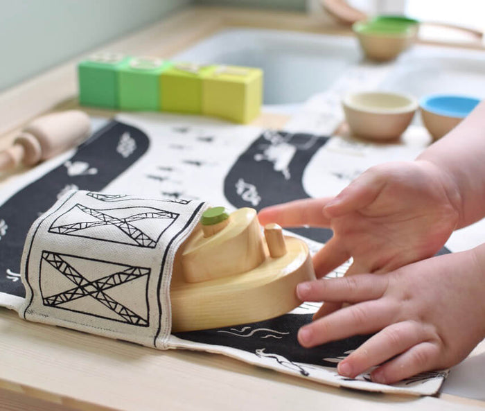 Hudson River Play Mat: "This is one of my very favorites!"