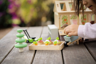 Tender Leaf Greenhouse and Garden Set