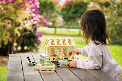 Tender Leaf Greenhouse and Garden Set