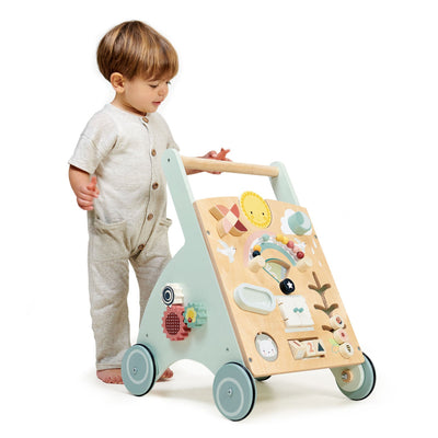 Tender Leaf Sunshine Baby Activity Walker