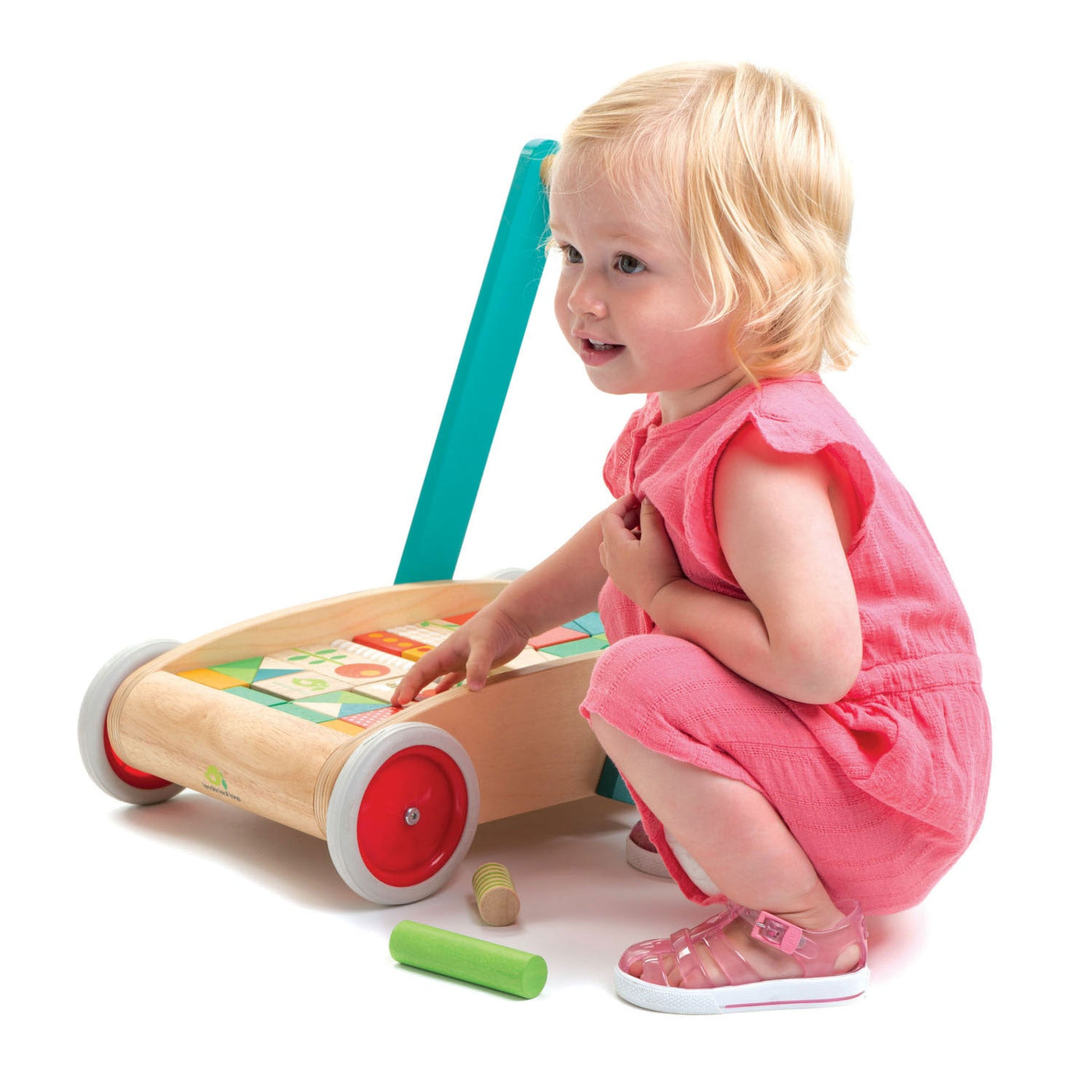 Tender Leaf Baby Block Walker