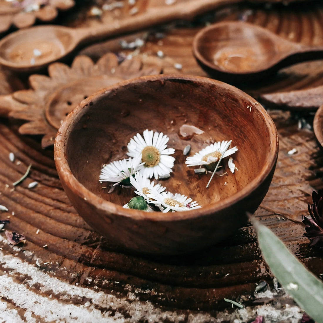 Wild Mountain Child Treasure Bowl