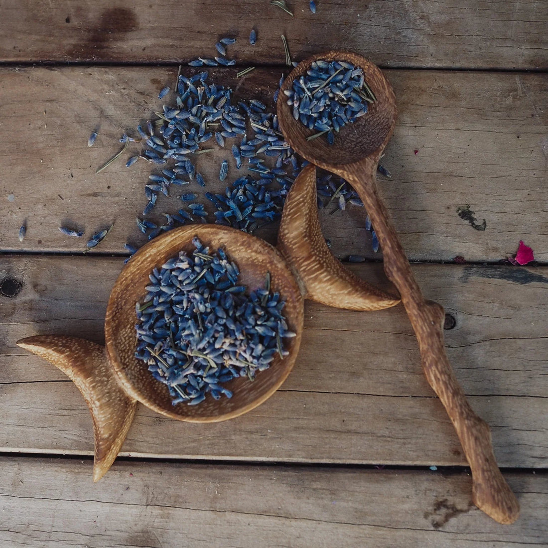 Wild Mountain Child Crescent Moon Strainer