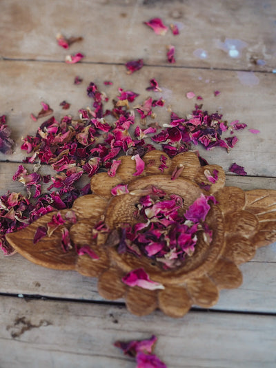 Pre-Order Wild Mountain Child Daisy Strainer