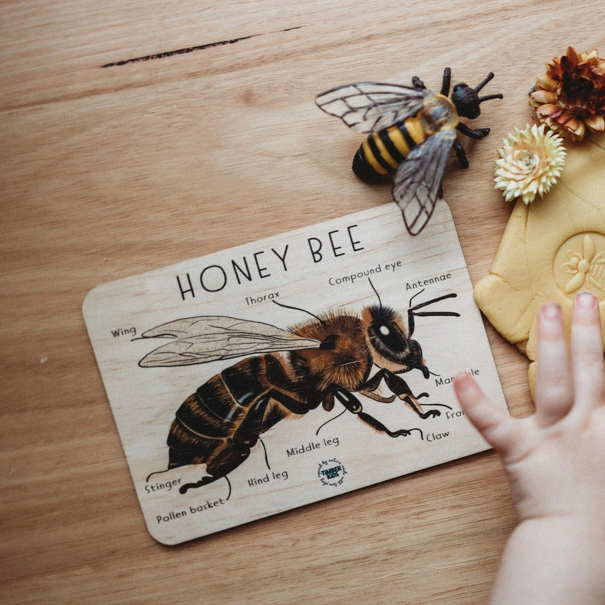 Honey Bee Timber Tile