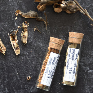 Specimen Study Station, Starter Set
