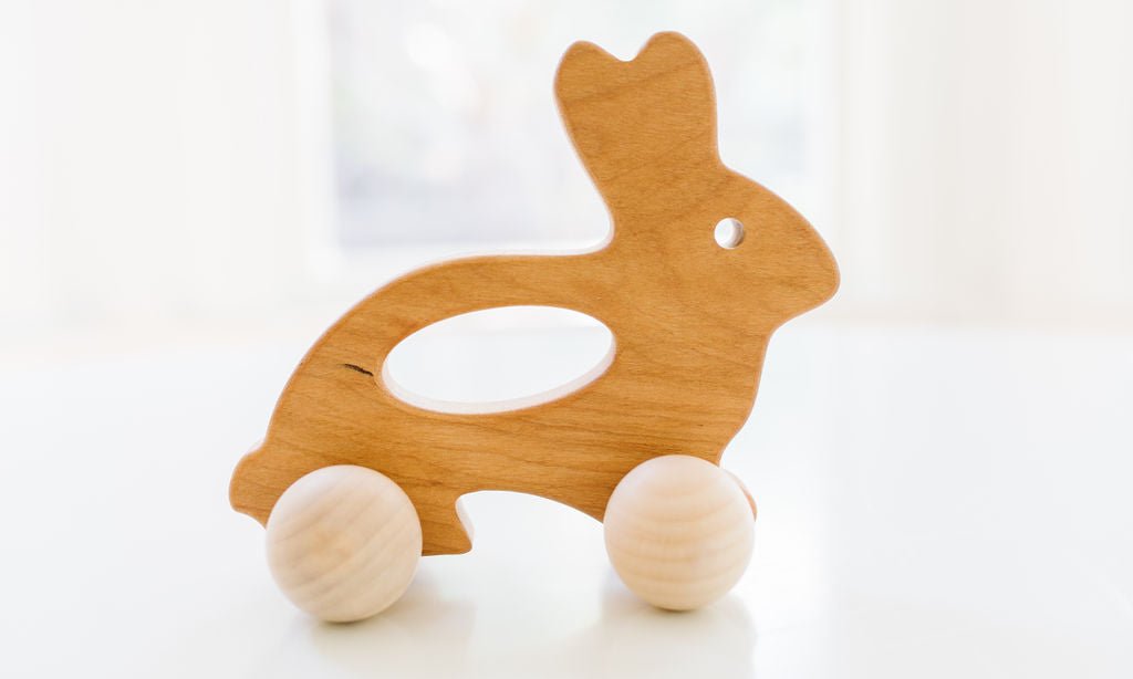 Bannor Bunny Push Toy