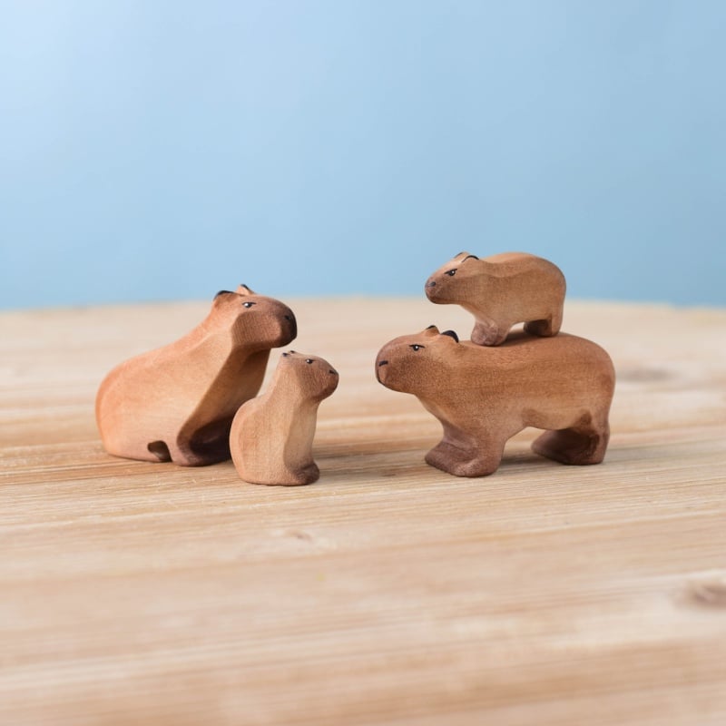 Sale Bumbu Capybara Family Set