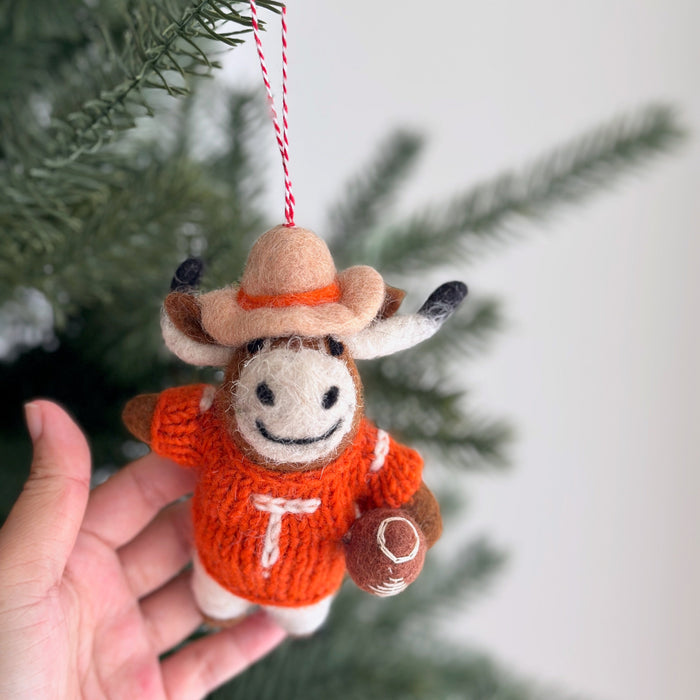 College Football Collection - Texas Longhorns