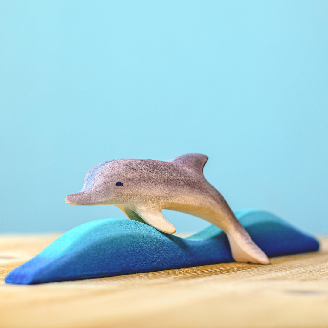 Bumbu Dolphins Set