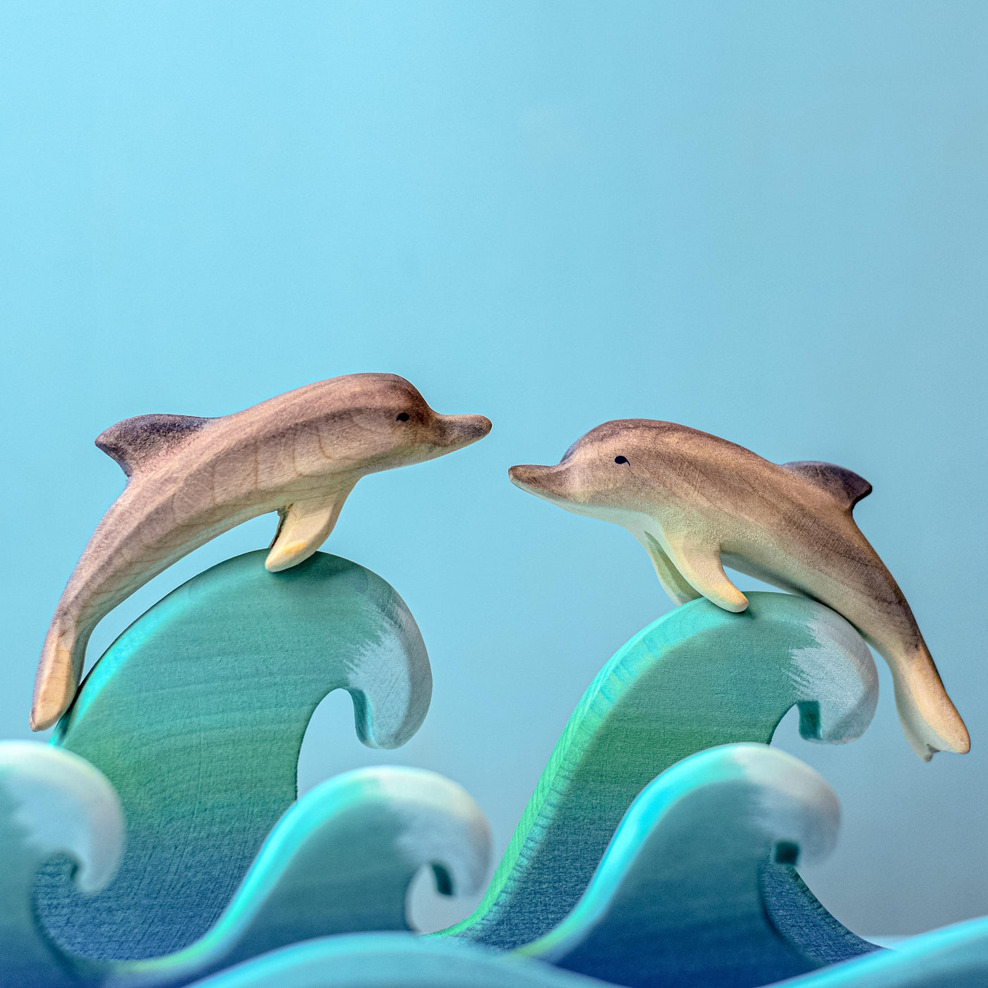 Bumbu Dolphin