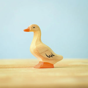 Domestic duck