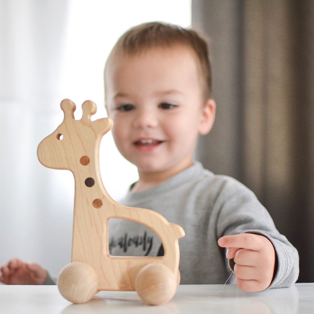 Bannor Giraffe Push Toy