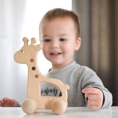 Bannor Giraffe Push Toy