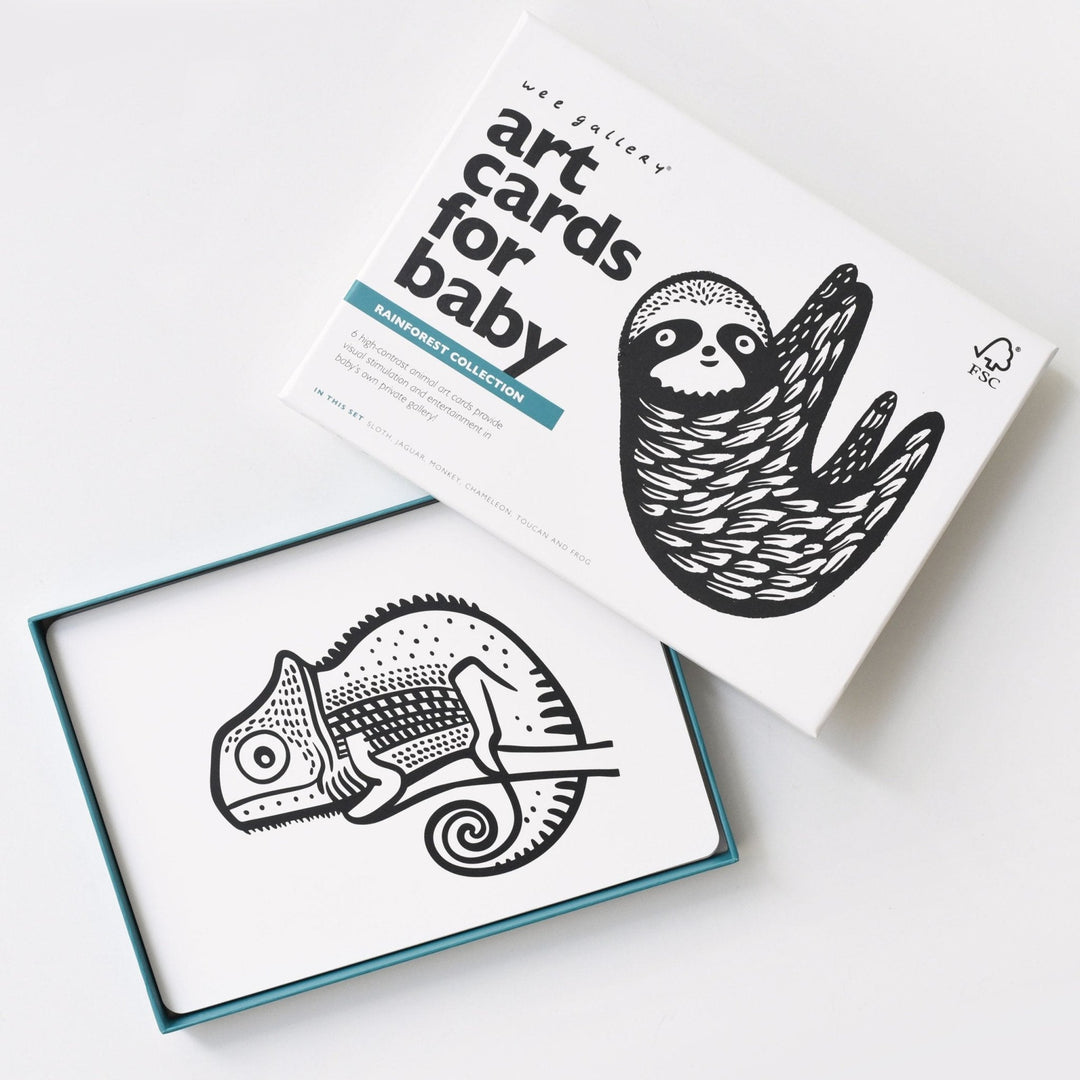 Art Cards for Baby - Rainforest Collection