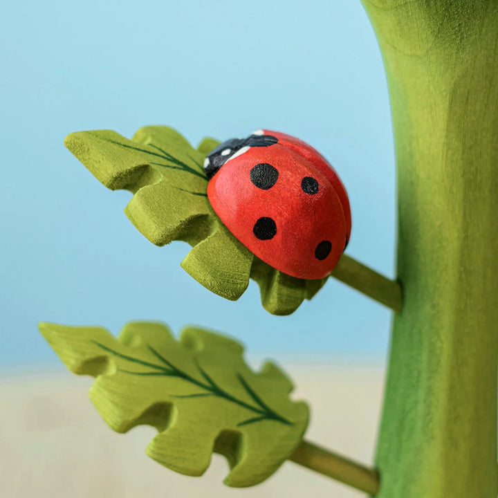 Bumbu Ladybug