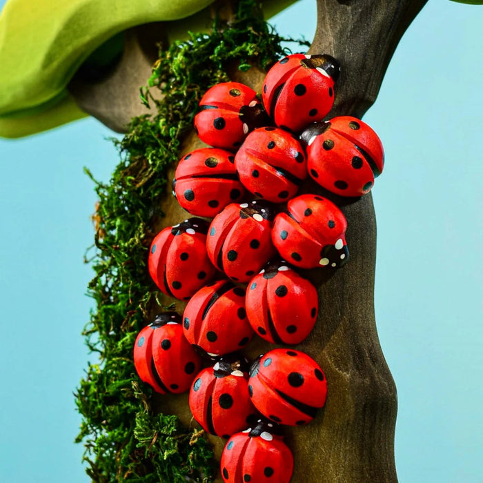 Bumbu Ladybug