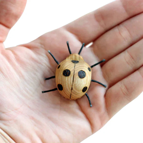 Wooden Ladybug