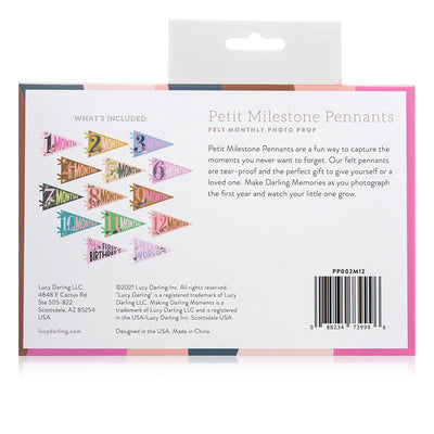 Lucy Darling Little Artist Petit Milestone Pennants