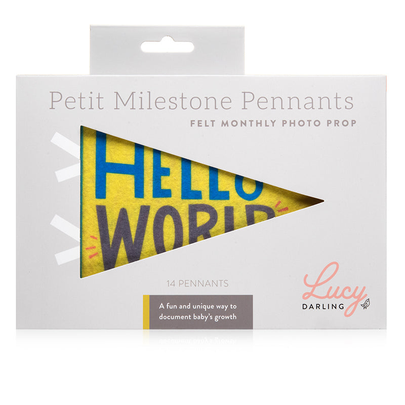 Lucy Darling Little Kaleidoscope Petit Milestone Pennants