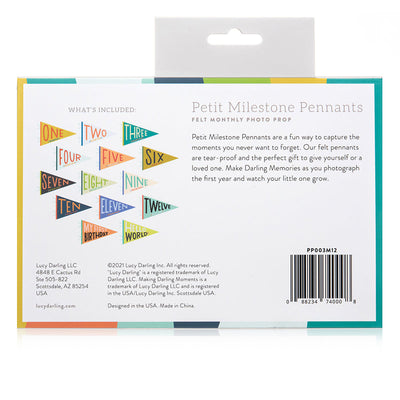 Lucy Darling Little Kaleidoscope Petit Milestone Pennants