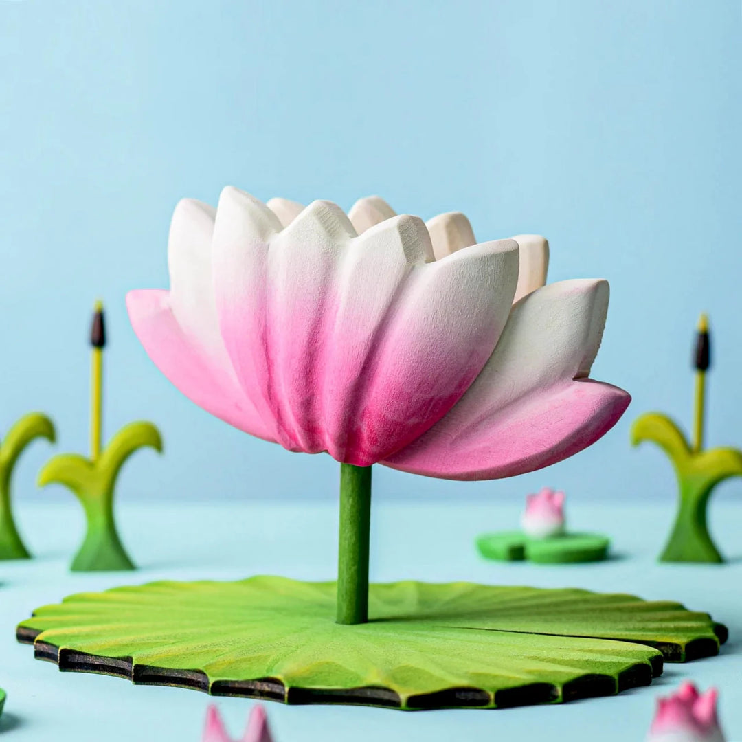 Bumbu Lotus Flower