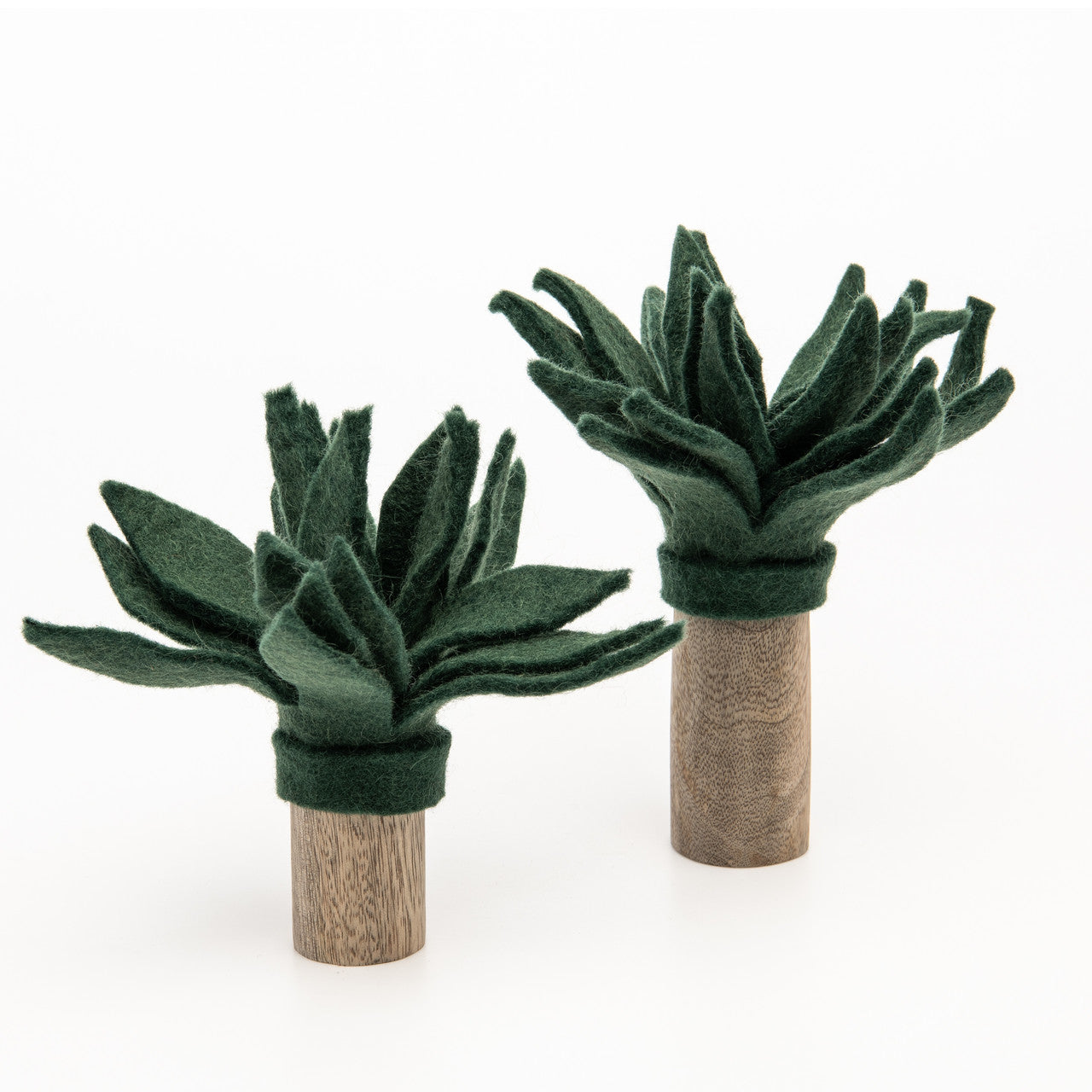 Papoose Palm Trees, Set of 2