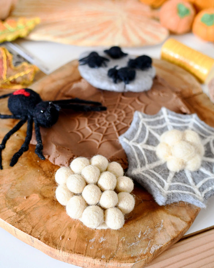 Sale Felt Lifecycle of a Redback Spider
