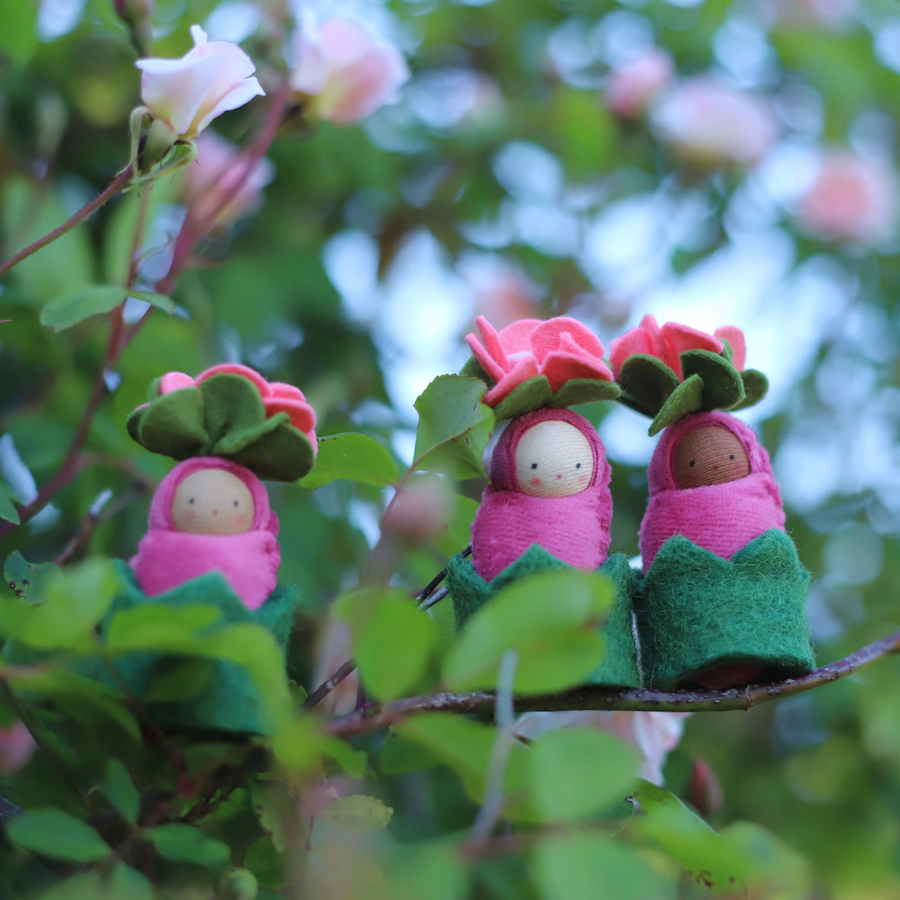 Fairyshadow Rosebud Child