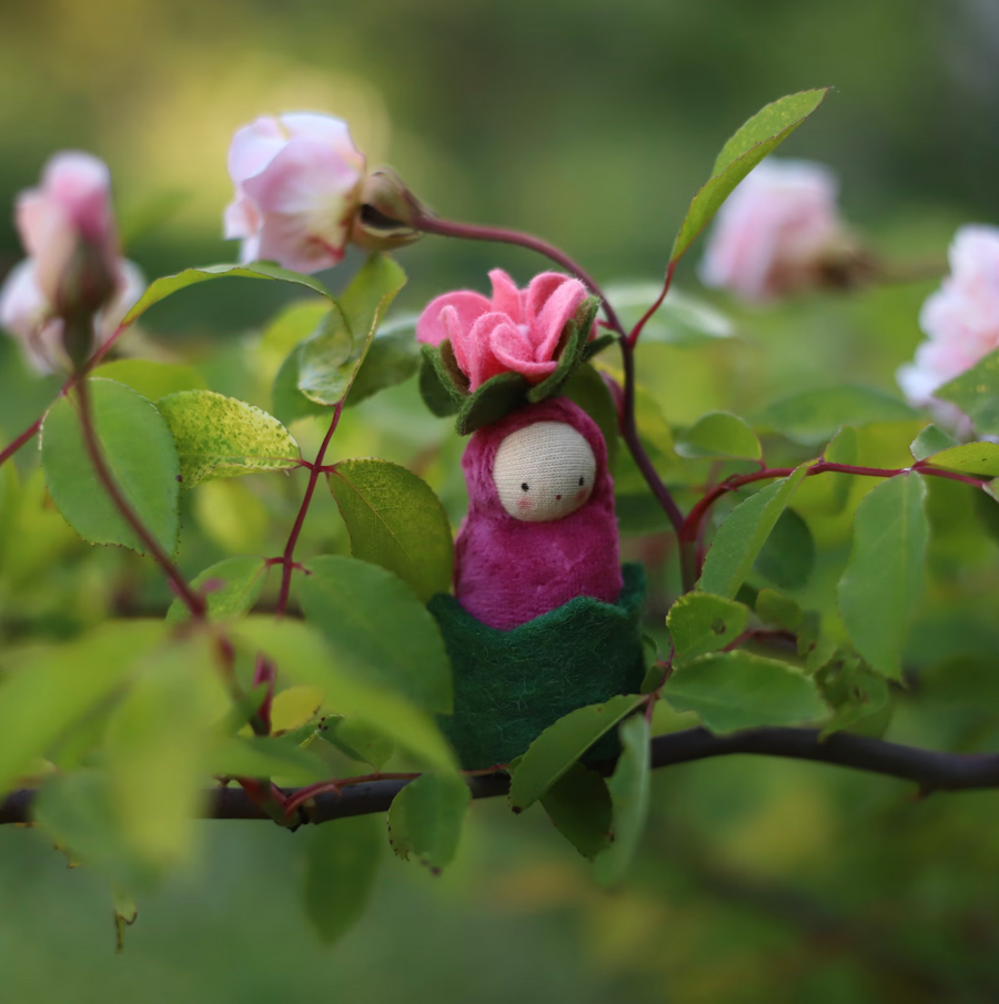 Fairyshadow Rosebud Child