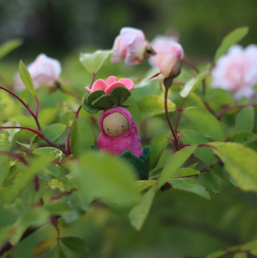 Fairyshadow Rosebud Child