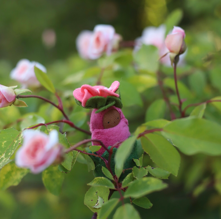 Fairyshadow Rosebud Child