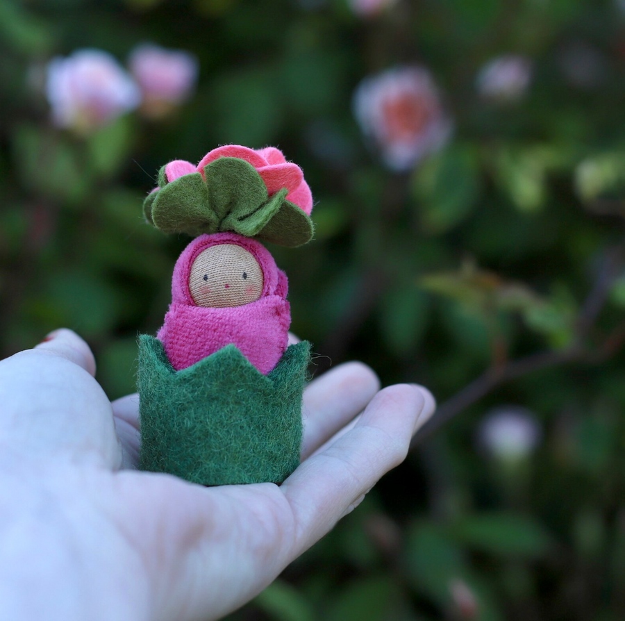 Fairyshadow Rosebud Child