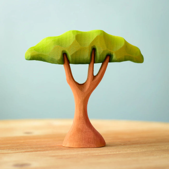 Sale Bumbu Small Acacia Tree