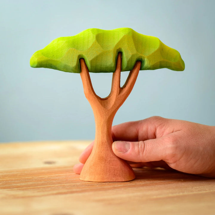 Sale Bumbu Small Acacia Tree