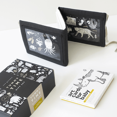 Baby Tummy Time Gallery with Mirror Gift Set