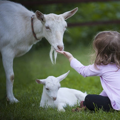 White Goat Finger Puppet