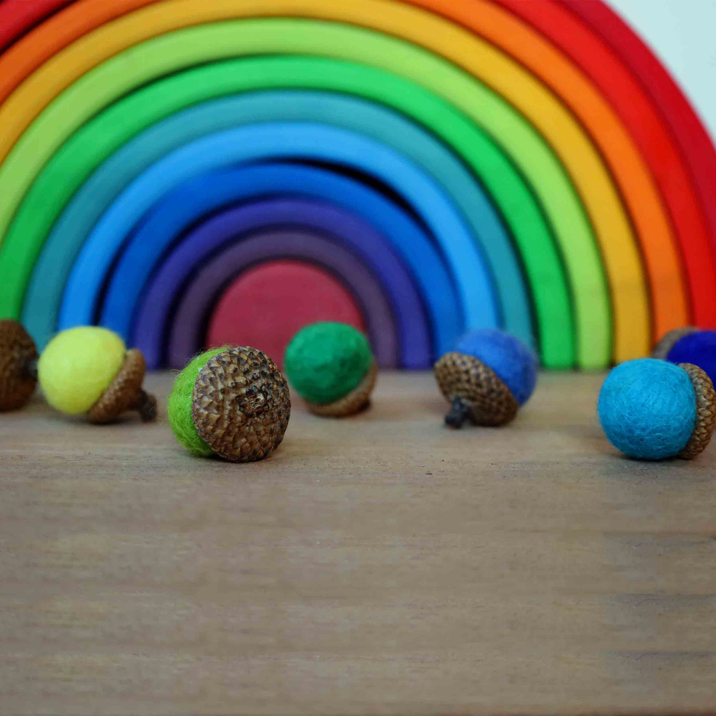 Rainbow Felted Acorns (Set of 10)