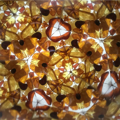 Amber Kaleidoscope
