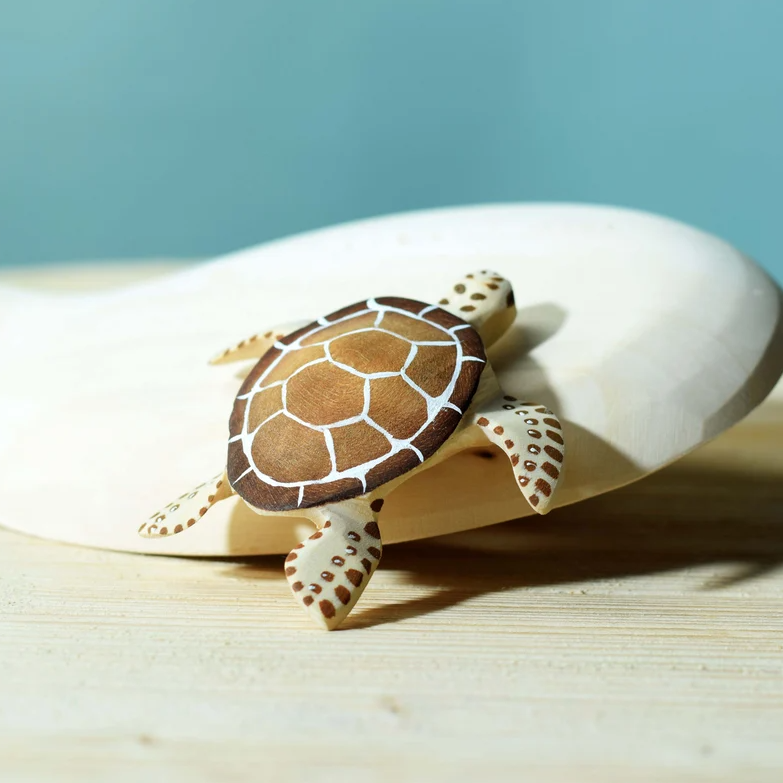 Turtle Boon Close (esc)