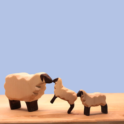 Bumbu Sheep, Standing