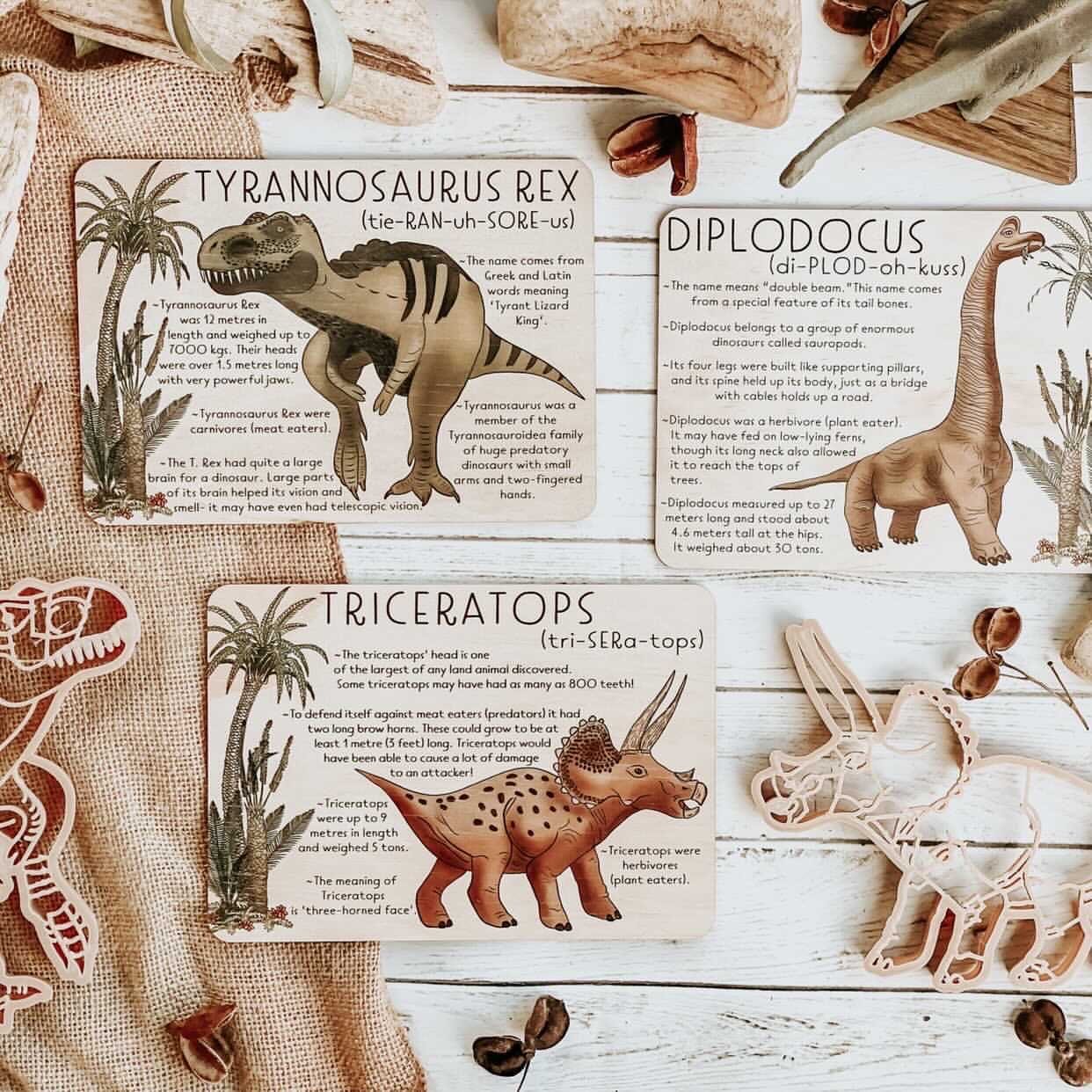 Puzzle Dino Diplodocus